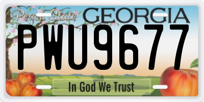 GA license plate PWU9677