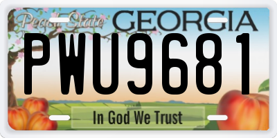 GA license plate PWU9681