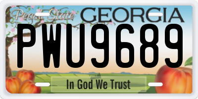 GA license plate PWU9689