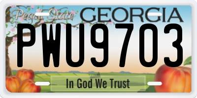 GA license plate PWU9703