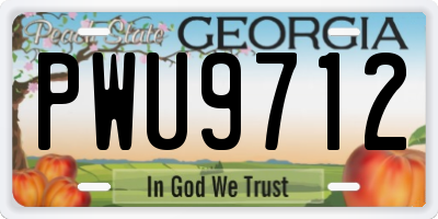 GA license plate PWU9712