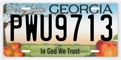 GA license plate PWU9713