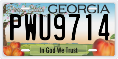 GA license plate PWU9714