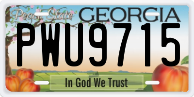 GA license plate PWU9715