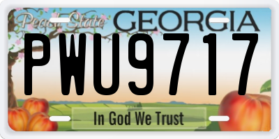 GA license plate PWU9717