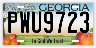 GA license plate PWU9723