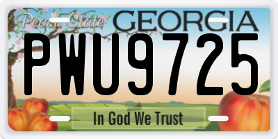GA license plate PWU9725