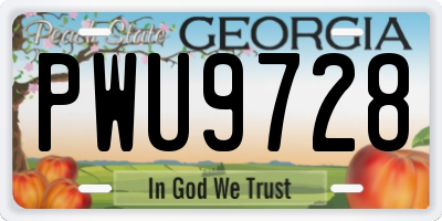 GA license plate PWU9728