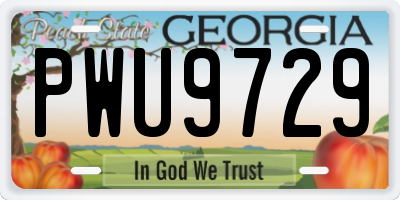 GA license plate PWU9729