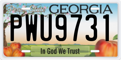 GA license plate PWU9731