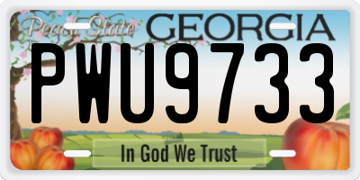 GA license plate PWU9733