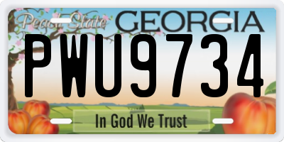 GA license plate PWU9734