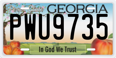 GA license plate PWU9735