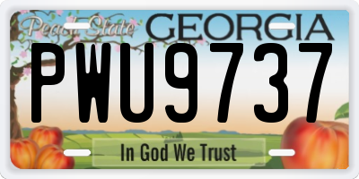 GA license plate PWU9737