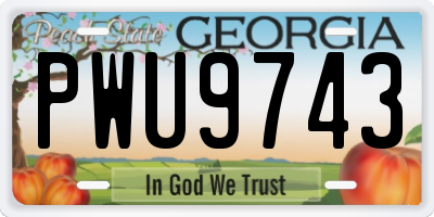 GA license plate PWU9743