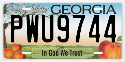 GA license plate PWU9744