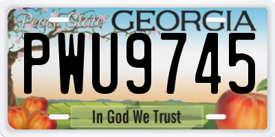 GA license plate PWU9745