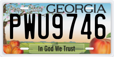 GA license plate PWU9746