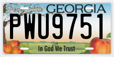 GA license plate PWU9751