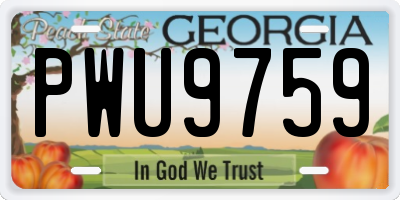 GA license plate PWU9759