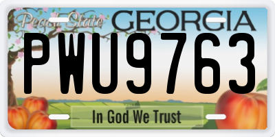GA license plate PWU9763
