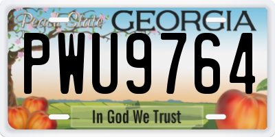 GA license plate PWU9764