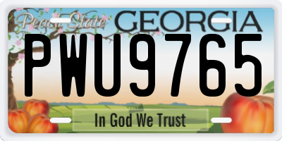 GA license plate PWU9765