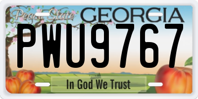 GA license plate PWU9767