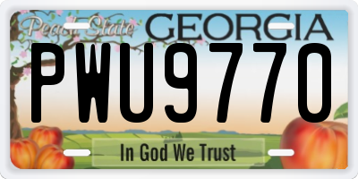 GA license plate PWU9770