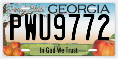 GA license plate PWU9772