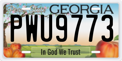 GA license plate PWU9773