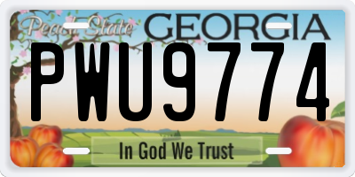 GA license plate PWU9774
