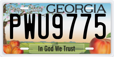 GA license plate PWU9775