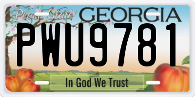 GA license plate PWU9781