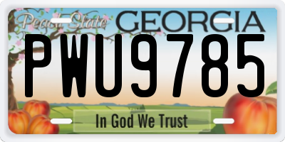 GA license plate PWU9785