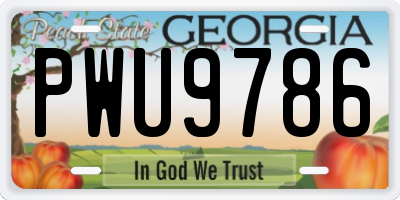 GA license plate PWU9786