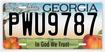 GA license plate PWU9787