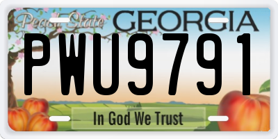 GA license plate PWU9791
