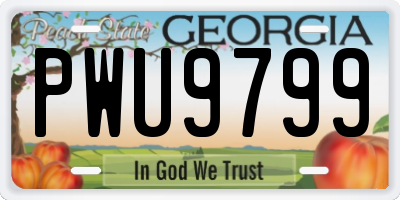 GA license plate PWU9799