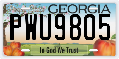 GA license plate PWU9805