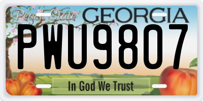 GA license plate PWU9807
