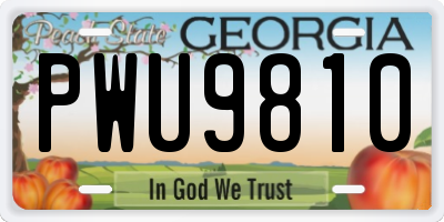 GA license plate PWU9810