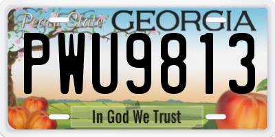 GA license plate PWU9813