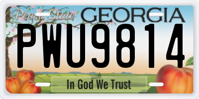 GA license plate PWU9814