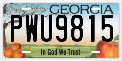 GA license plate PWU9815