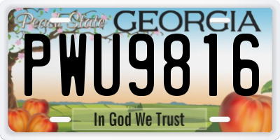 GA license plate PWU9816
