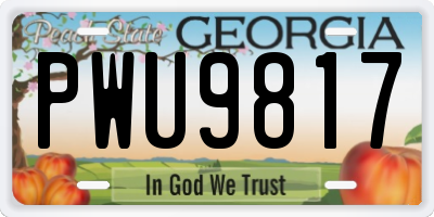 GA license plate PWU9817