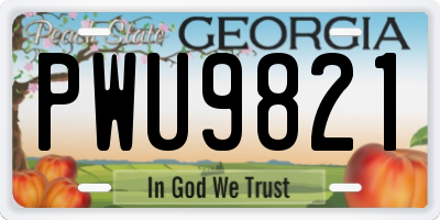 GA license plate PWU9821