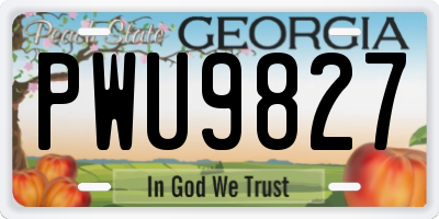 GA license plate PWU9827