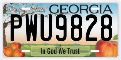 GA license plate PWU9828